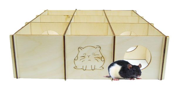 Labyrinthe Rongeur Jouet ZOO-MAX pour rongeurs - LABYRINTHE EN BOIS - 10x10x3 po (8 pièce ...