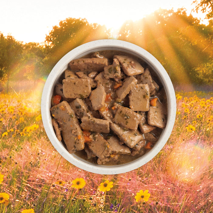 Nourriture humide ACANA Premium pour chiens. Recette au bœuf avec bouillon d’os.
