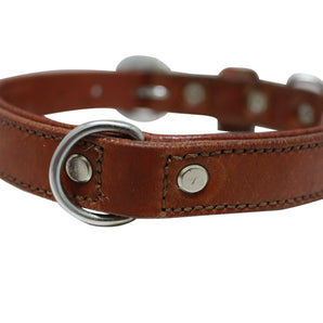 Dallas APS Genuine Leather Dog Collar