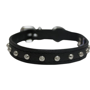 APS Genuine Leather Studded Cat Collar