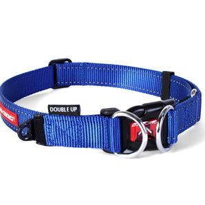 EZYDOG DOUBLE UP dog collar. Choice of sizes and colors.