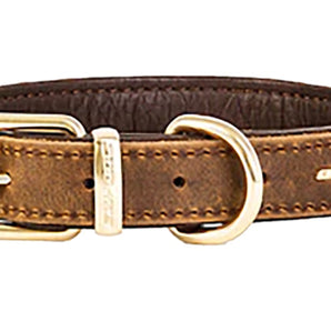 EZYDOG dog collar in LEATHER. Choice of sizes and colors.