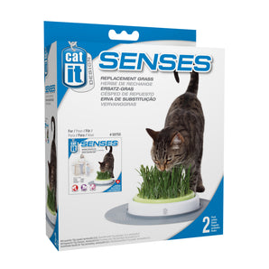 Replacement seeds for Catit Design Senses Grass Garden Kit.