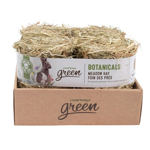 Botanicals Living World Green Meadow Hay Bales for Small Animals. Pack of 4 (4x150g). Natural aroma.