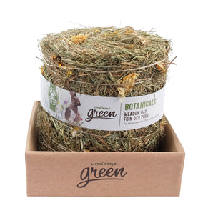 Botanicals Living World Green Meadow Hay Bale for Small Animals. 500g. Dandelion and marigold aroma.