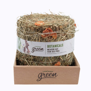 Botanicals Living World Green Meadow Hay Bale for Small Animals. 500g. Carrot aroma.