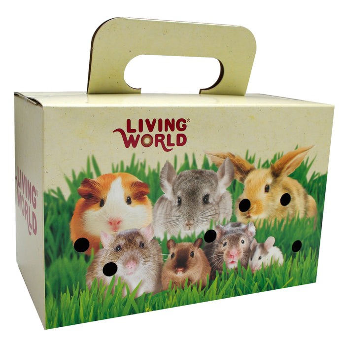 Boîte de transport pour petits animaux Living World en carton. Grande, 28 x 15 x 18 cm.
