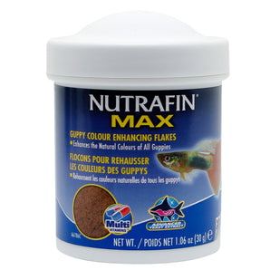 Flakes to enhance the colors of Nutrafin Max guppies. 30g