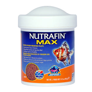 Goldfish Color Enhancement Granules Nutrafin Max. Choice of formats.