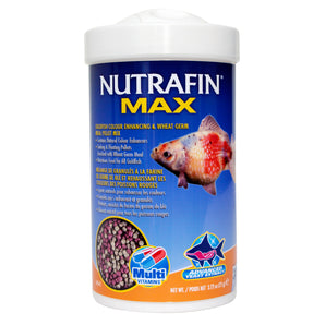 Mélange de granulés à la farine de germe de blé pour rehausser les couleurs des poissons rouges Nutrafin Max.