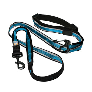 48" to 72" 6 in 1 adjustable leash Quantum from Kurgo. Choice of colors.