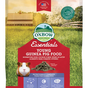 Food for young Oxbow guinea pigs. Choice of formats.