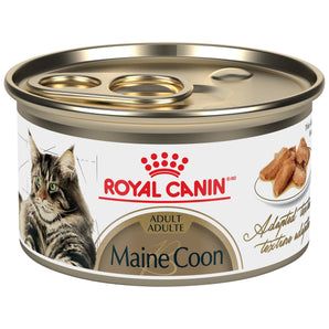 Nourriture en conserve pour chats adultes Maine Coon de Royal Canin. 85g.