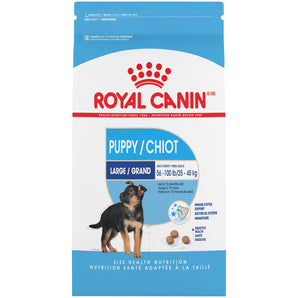 Royal Canin dry food for large breed puppies. Immune system support formula. Format choice.